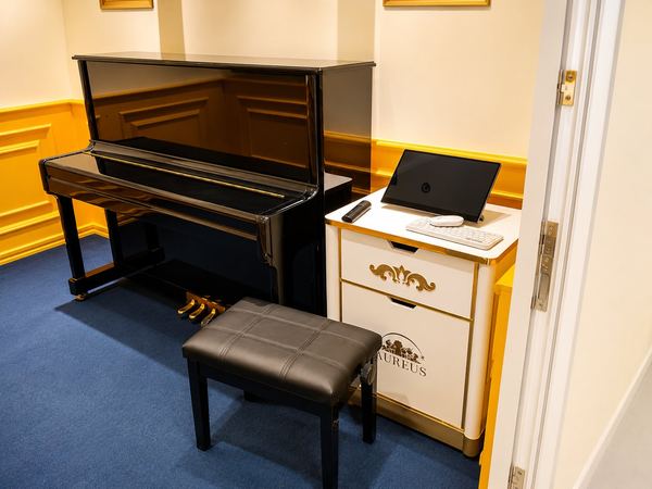 Aureus Music Academy piano room, by Davies Group UAE